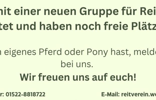 NEU!         Reitunterricht für Anfänger         NEU!